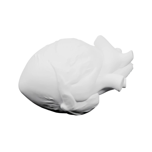 человеческого сердца