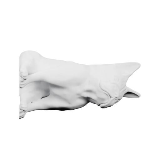 Сидящая собака