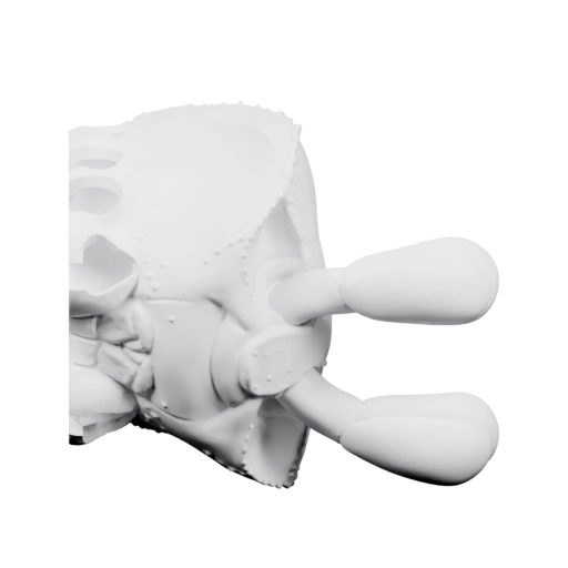 черепа с деталями