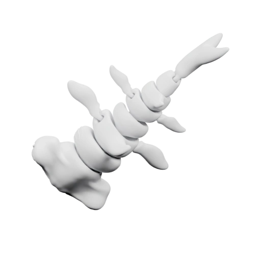 Анатомическая модель позвонка