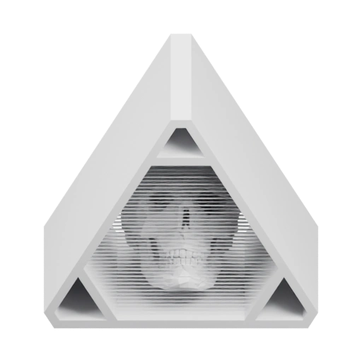 Скелет в геометрической раме