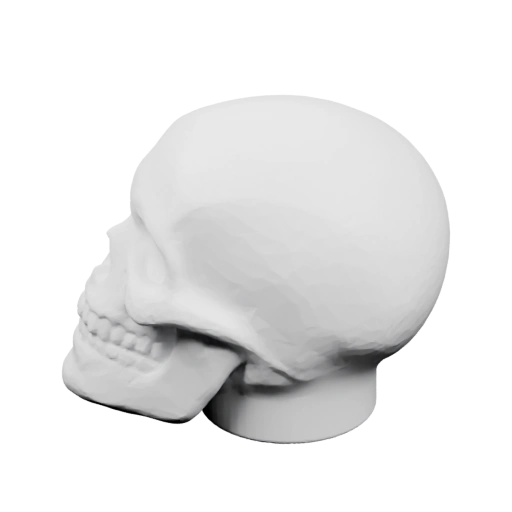 человеческого черепа