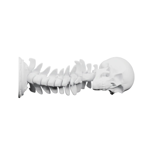 Скелет с черепом