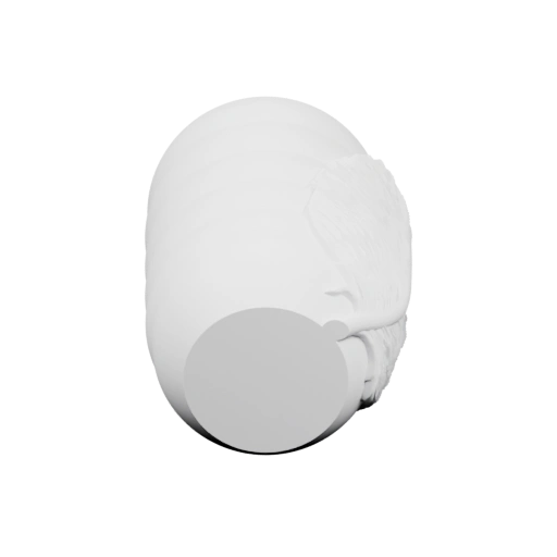 Скульптура человеческой головы