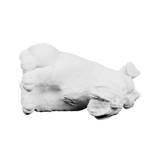 Лежащая собака с пушистой шерстью