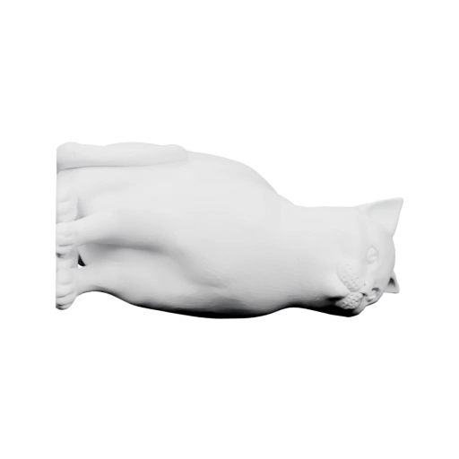 Кошка в спокойном положении