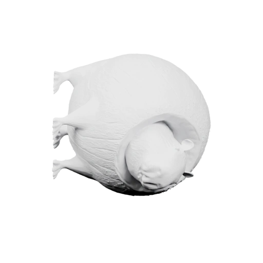 Еж в сонном положении