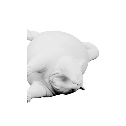 Котёнок в позе отдыха