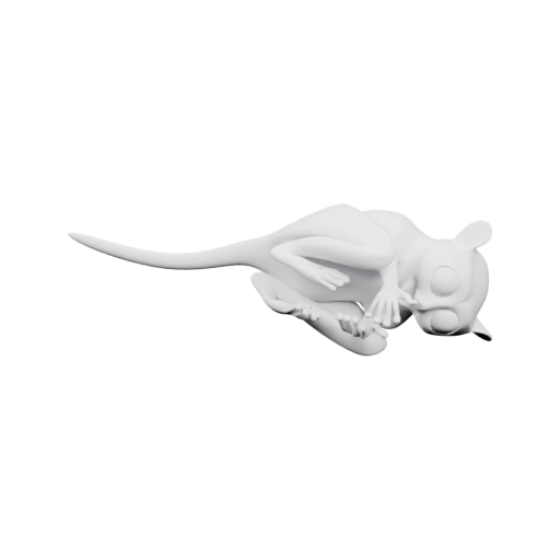 Кот в позе сна