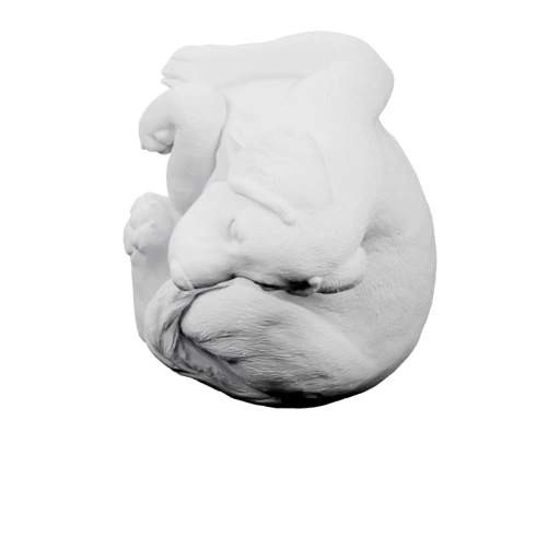 Щенок в уютной позе