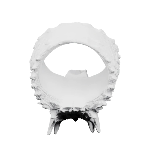 Скульптура с открытым ртом