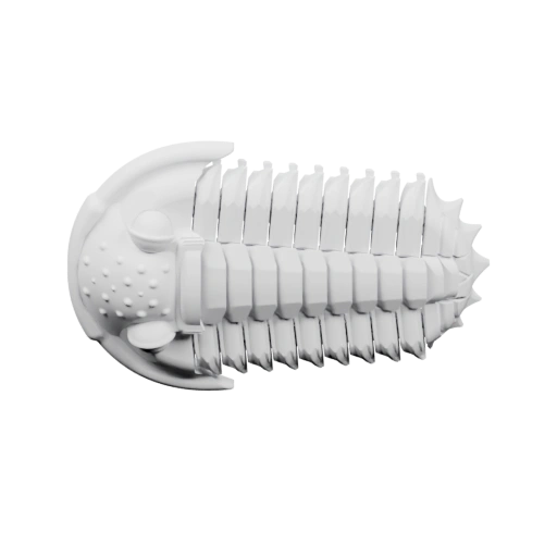 Детализированная форма древнего морского животного