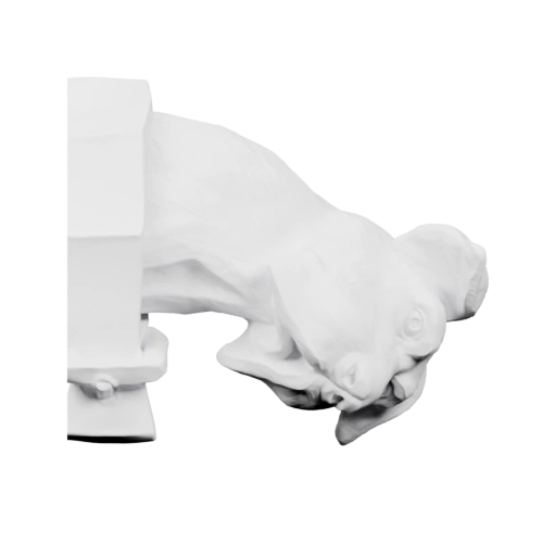 Собака в позе удивления