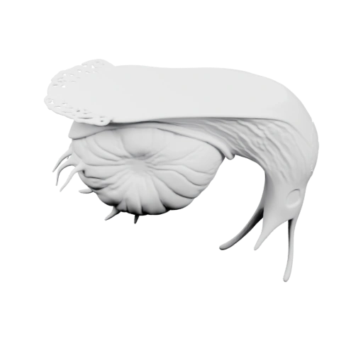 Улитка с панцирем и щупальцами