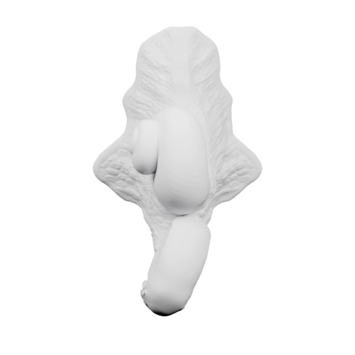 Улитка с плавниками