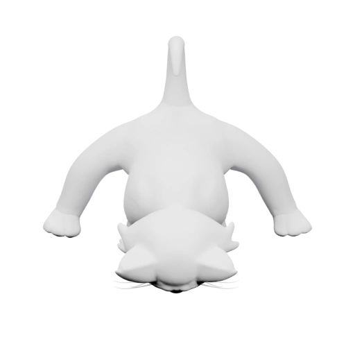 Сидит на задних лапах