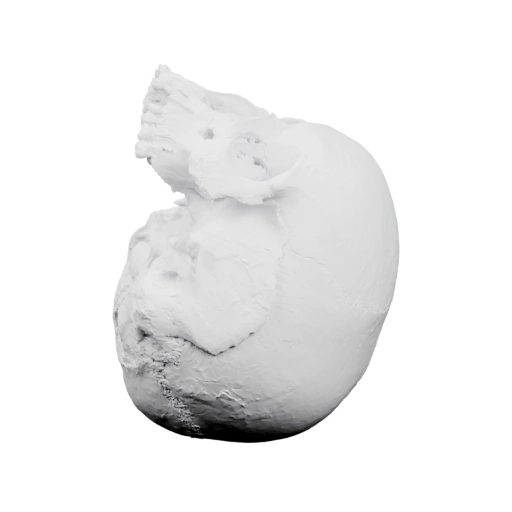 Разрушенный череп