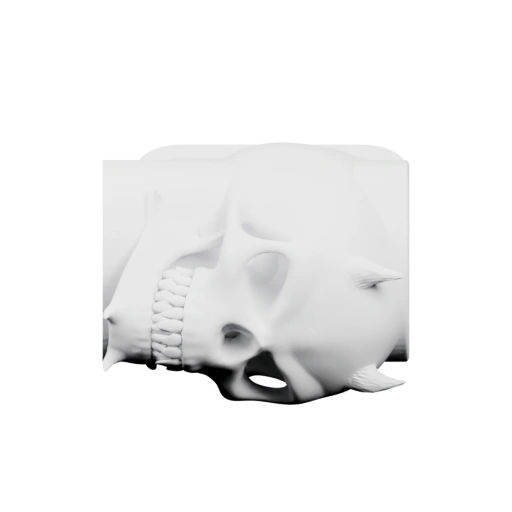 Скульптурный череп с зубами