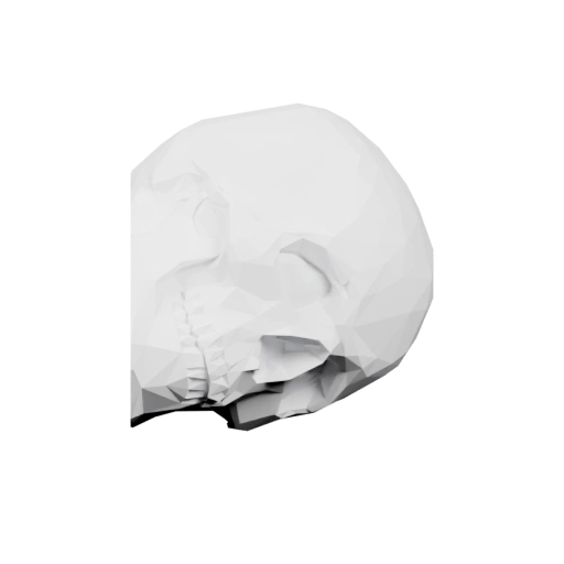 черепа с геометрическим рисунком