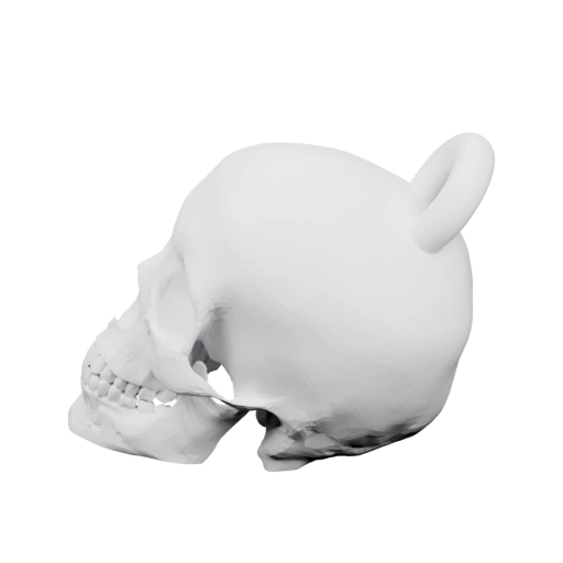 черепа с ушами