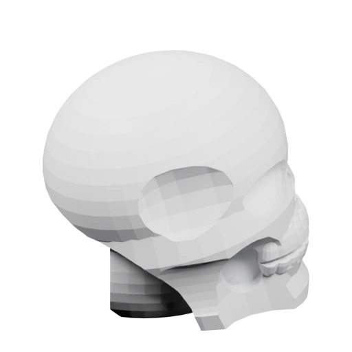 Скелетная модель черепа