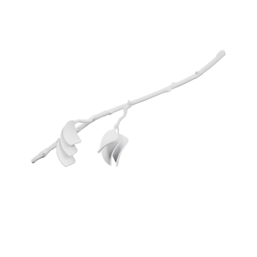 Ветвистый объект с отверстием