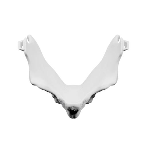 Вороний череп в V-образной форме