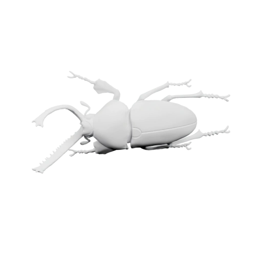 жука с длинными ногами