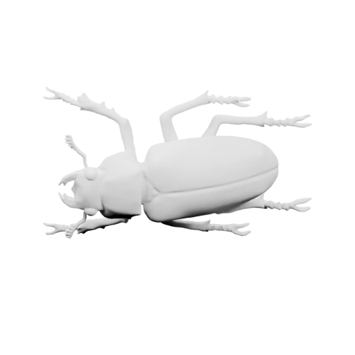 жука с детализированными ногами