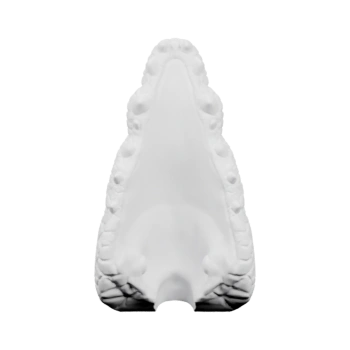 Устройство для восстановления зубов