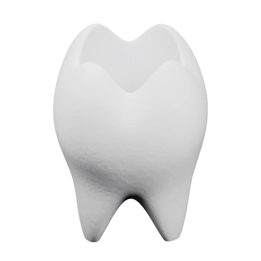 человеческого зуба