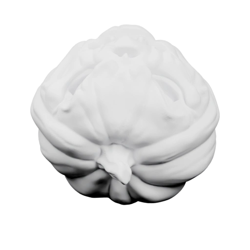 Структурированная капуста