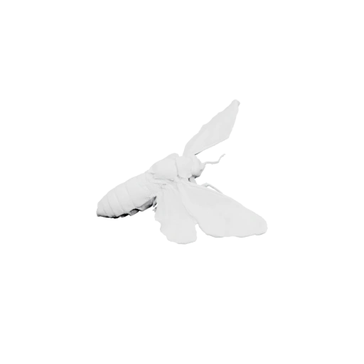 Львиный зверь в полете