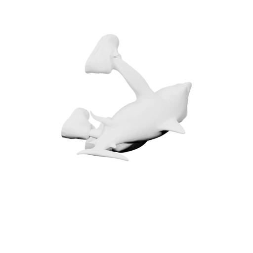 морского кота