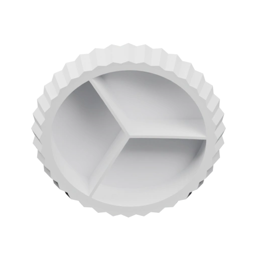 Тарелка с сегментами