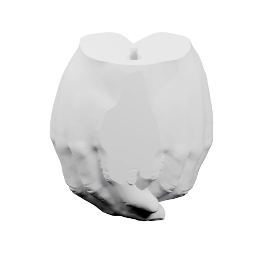 чаша ладоней