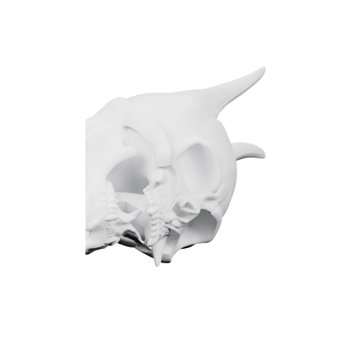 Череп демона