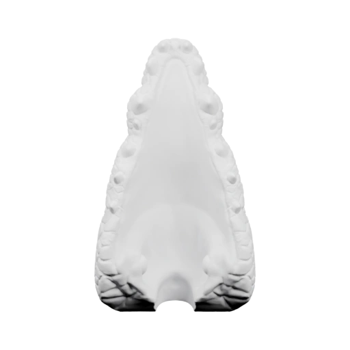 Голова крокодила с открытой пастью