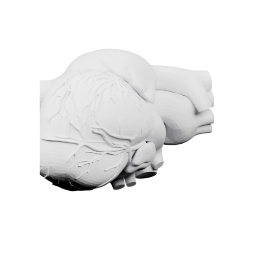 Чаша из сложенных ладоней