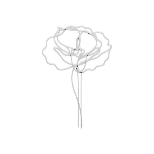 Узкие стебли с пышными кружевными лепестками