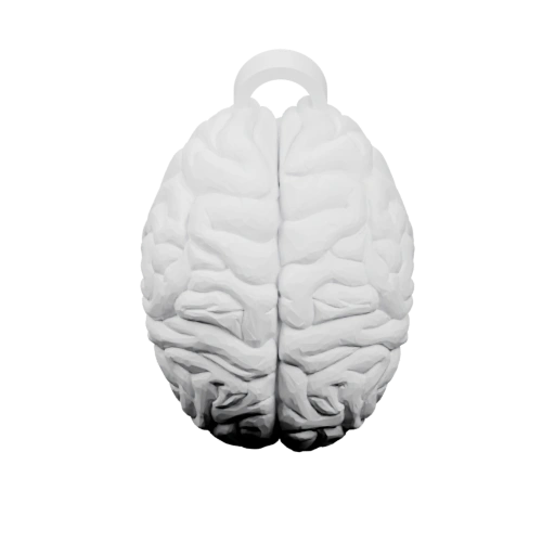 Форма мозга с вырезом для ключей и надписью