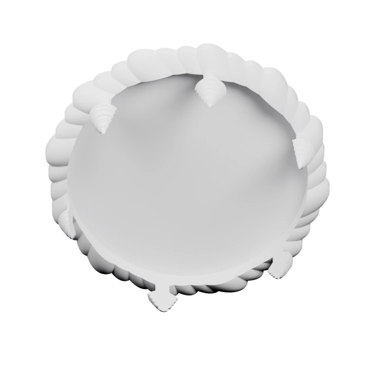 Сферическая форма с рельефным краем и выступами по периметру