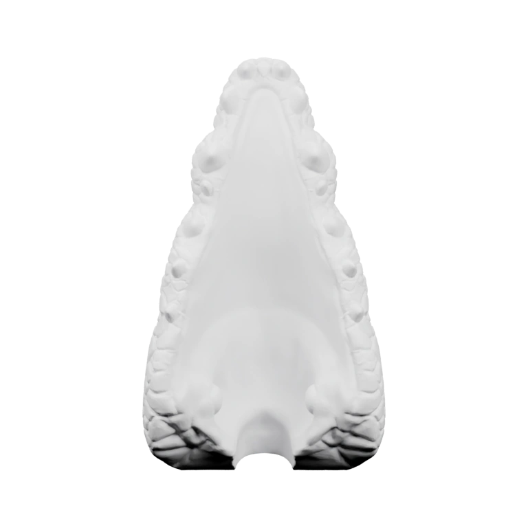 Голова с текстурой чешуи, открытым ртом и рельефными деталями