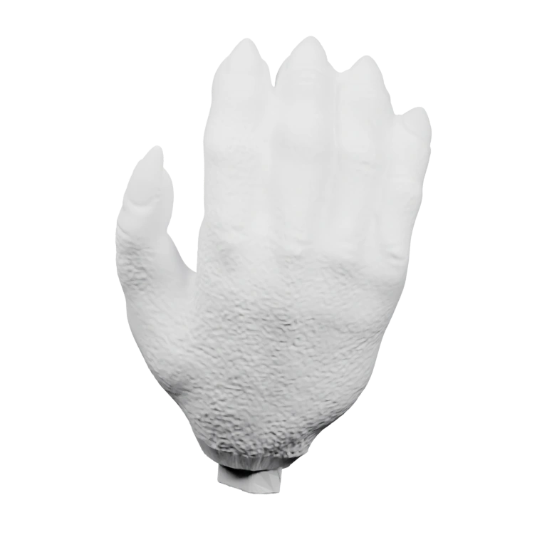 Показаны разные позы и положения руки