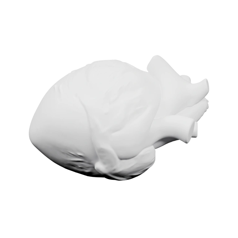 Фигурка с детализированными сосудами и камерами