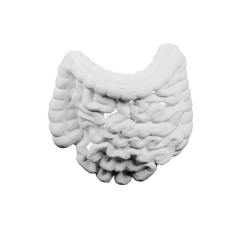 Пищевод с извилистыми участками и сложной структурой