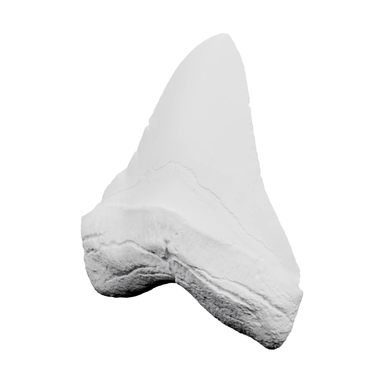 Высокая, острые края, с текстурой и неровностями