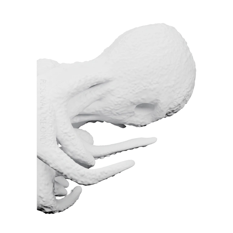 Сформированный с деталями головы и щупальцев