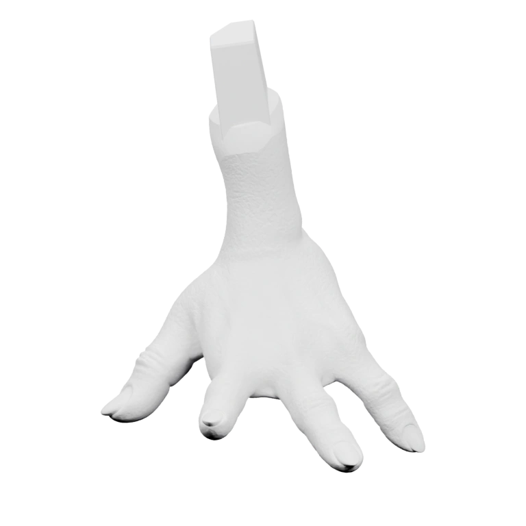 Узкая лапа с четырьмя пальцами и когтями