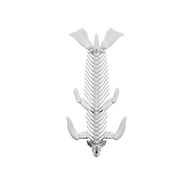 Сложная структура с рёбрами и ветвями, напоминающая морского существа
